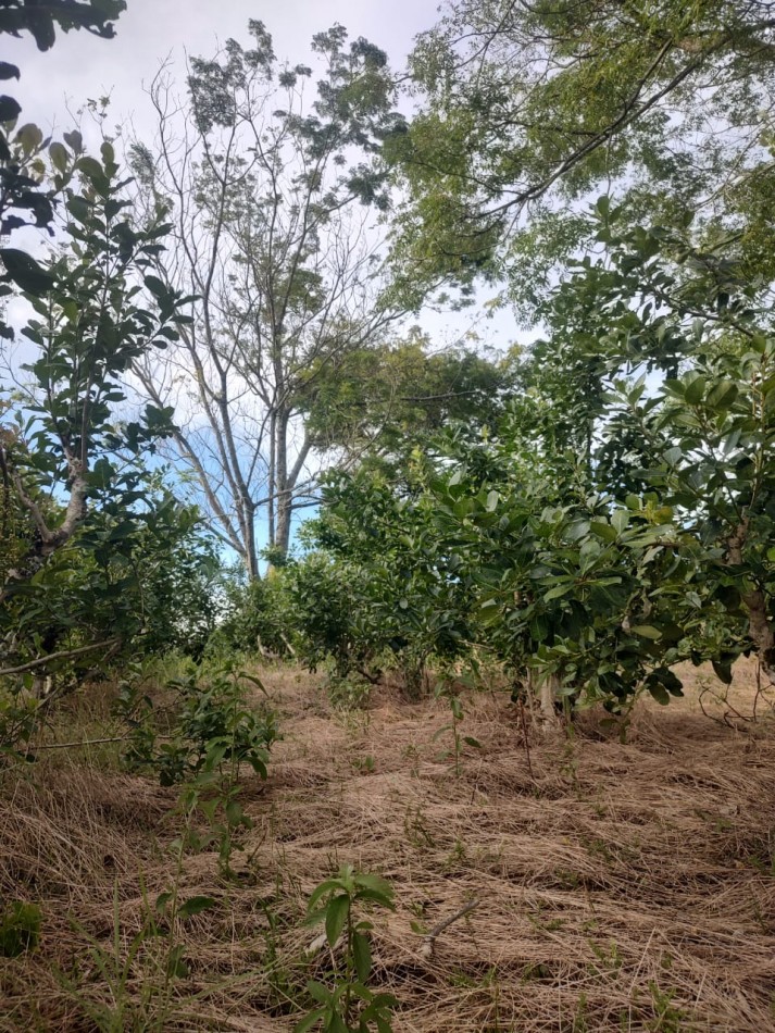 CHACRA EN VENTA