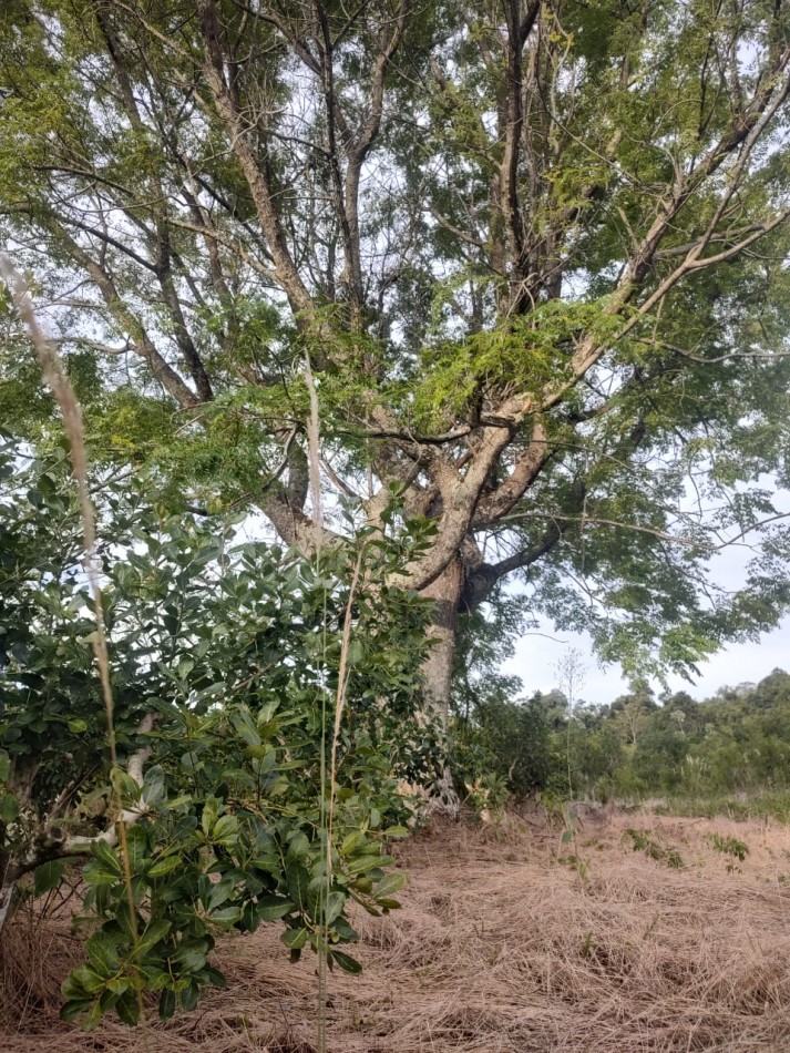 CHACRA EN VENTA