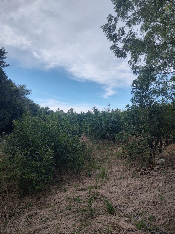 CHACRA EN VENTA