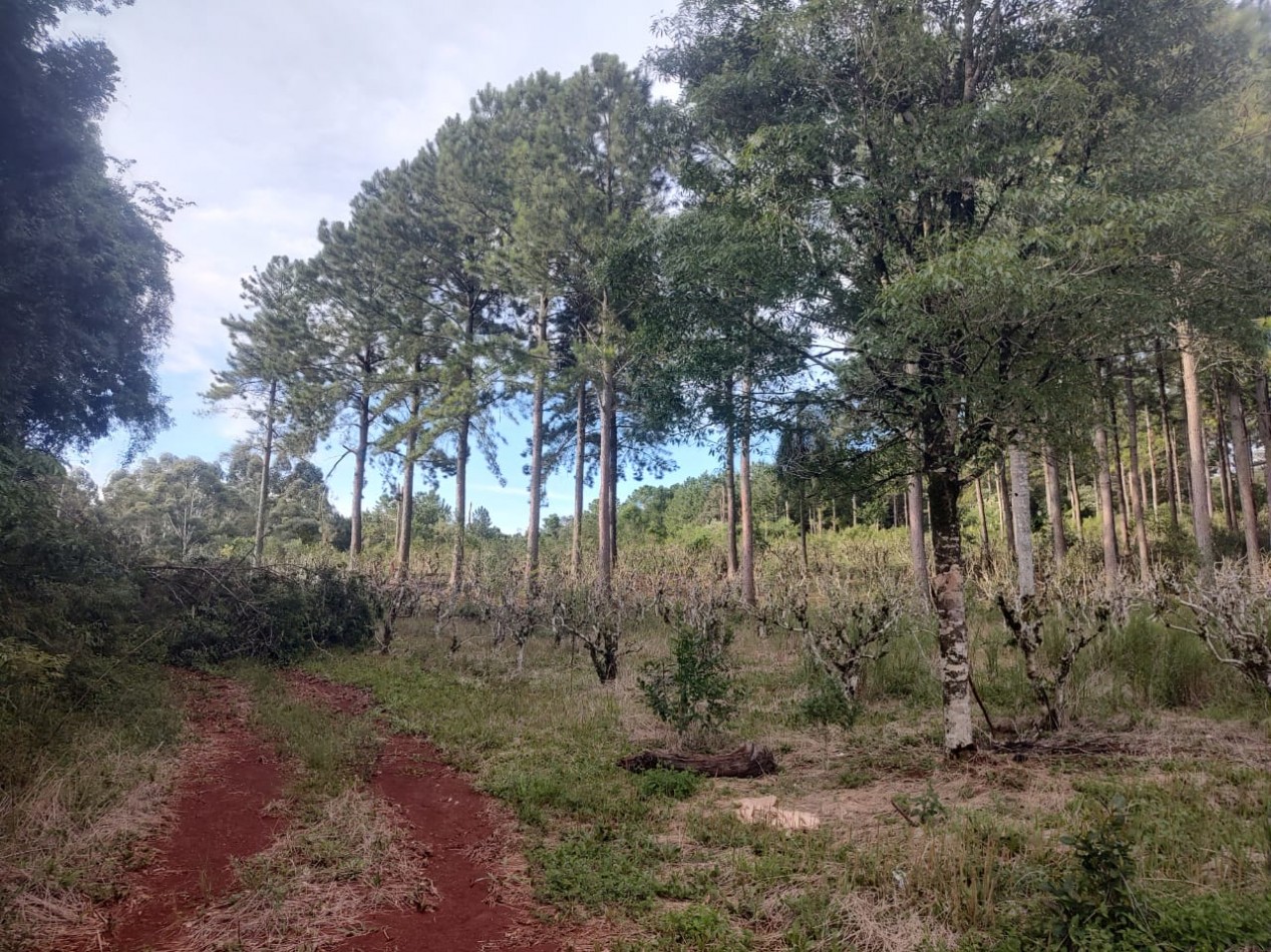 CHACRA EN VENTA