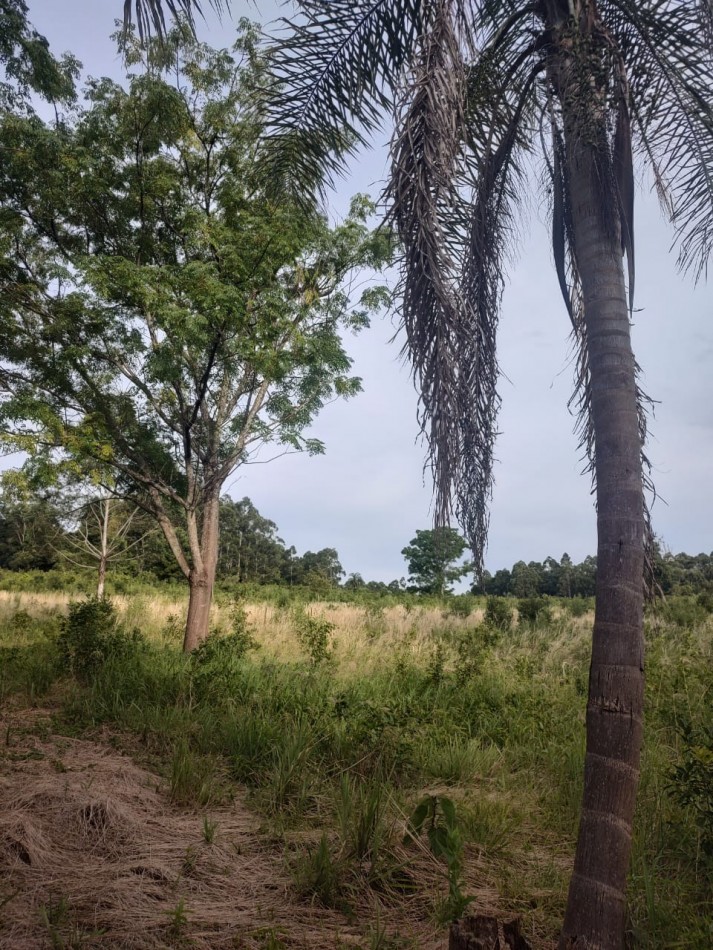 CHACRA EN VENTA