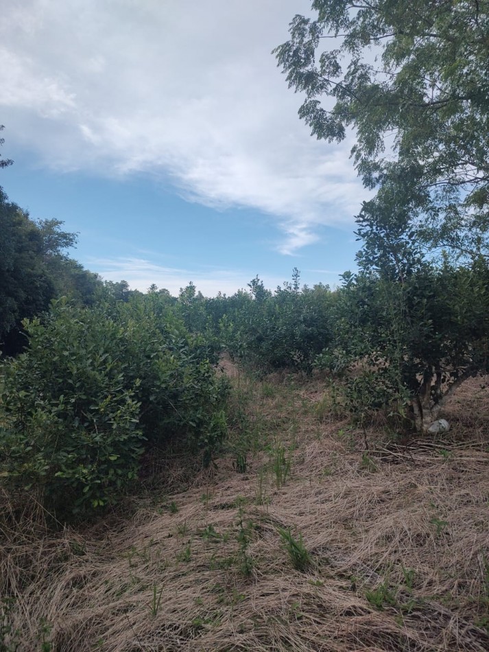 CHACRA EN VENTA