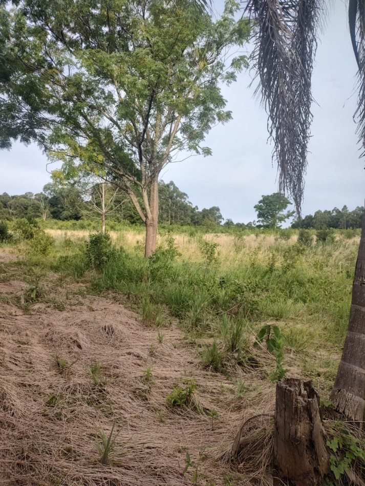 CHACRA EN VENTA