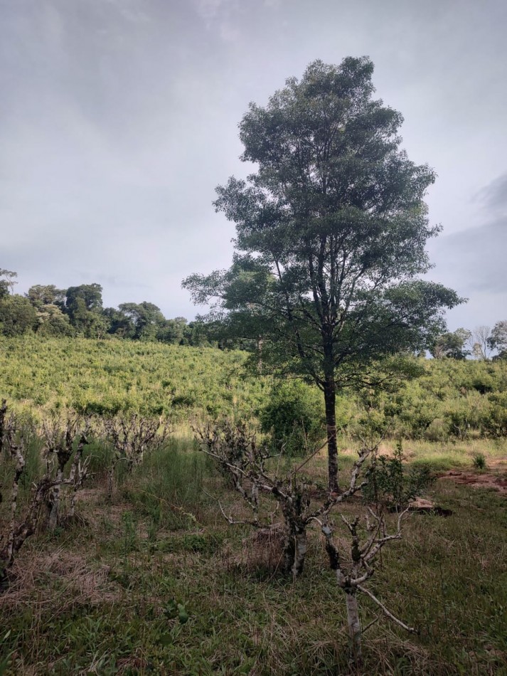 CHACRA EN VENTA