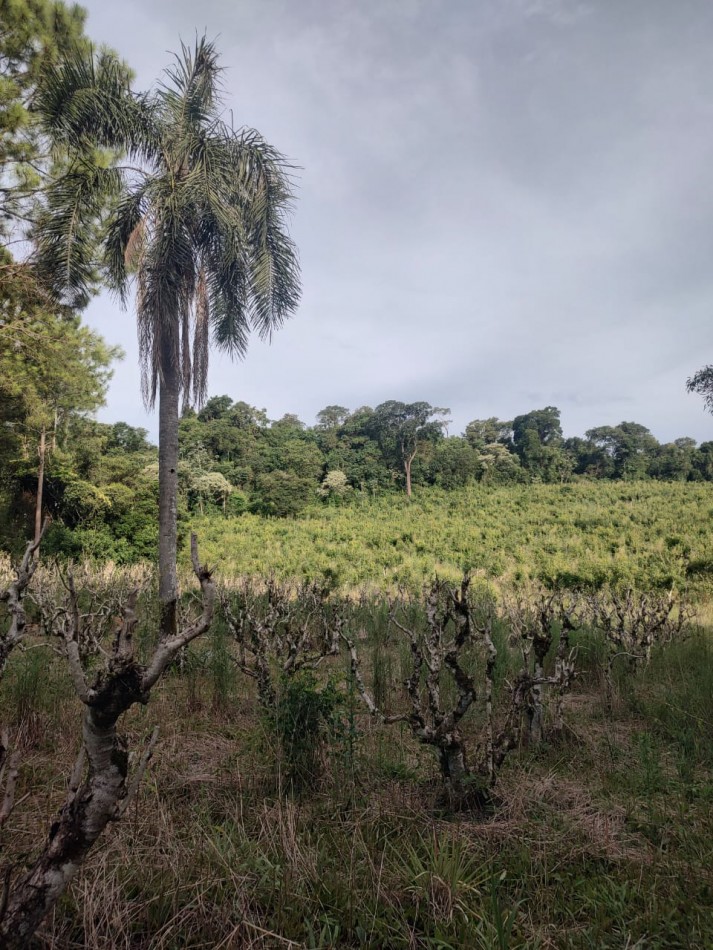 CHACRA EN VENTA