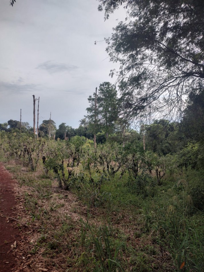 CHACRA EN VENTA