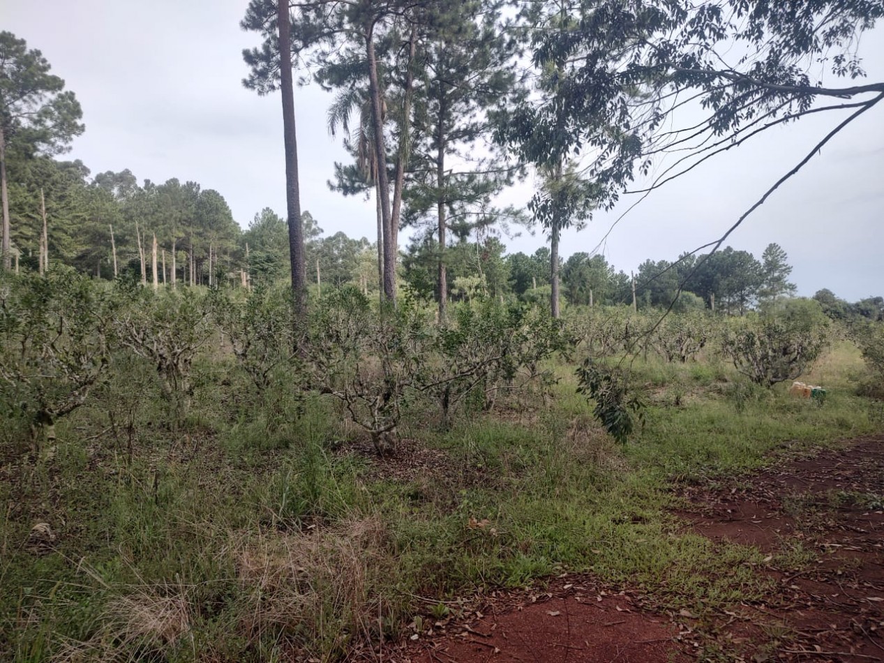 CHACRA EN VENTA