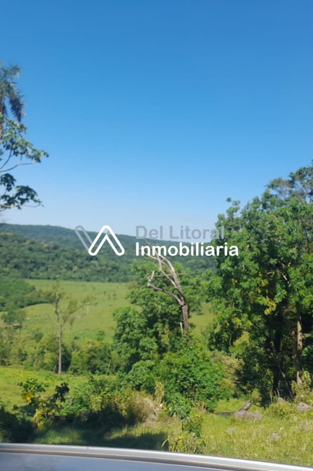 Campo en venta 
