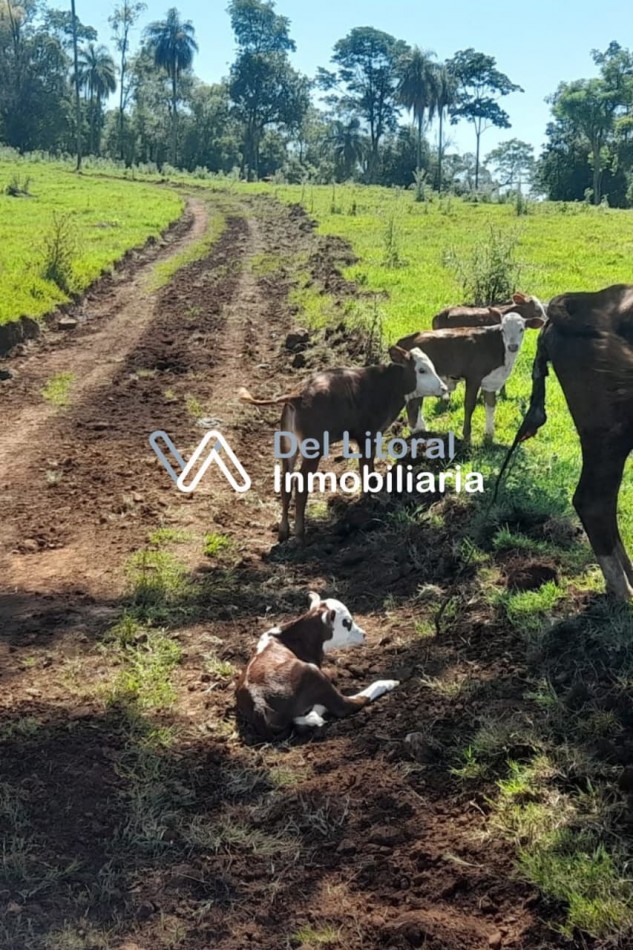 Campo en venta 