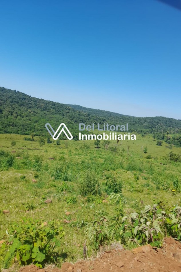 Campo en venta 