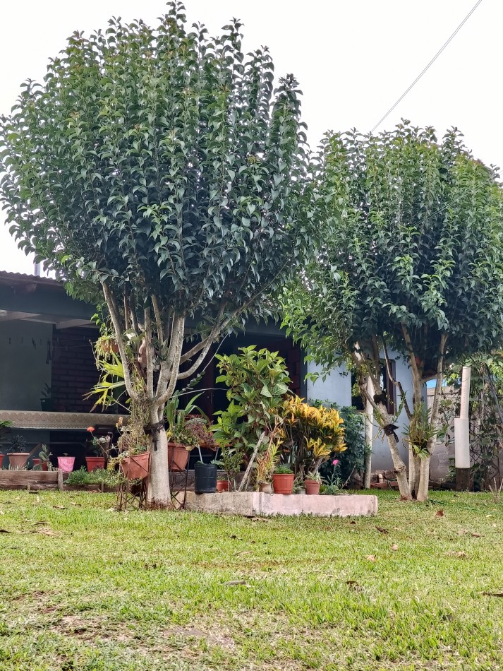CASA CON TERRENO 