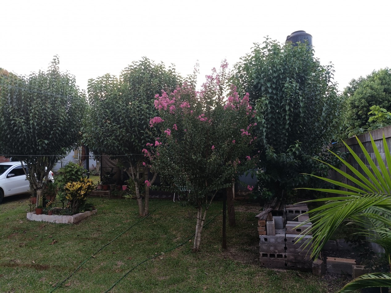 CASA CON TERRENO 