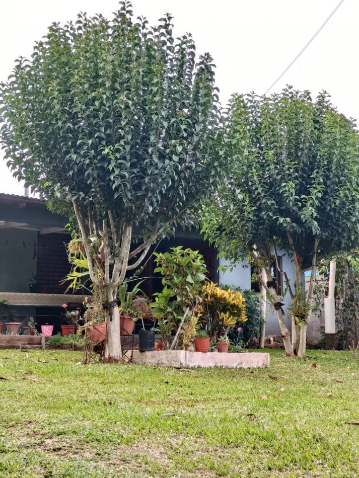 CASA CON TERRENO 