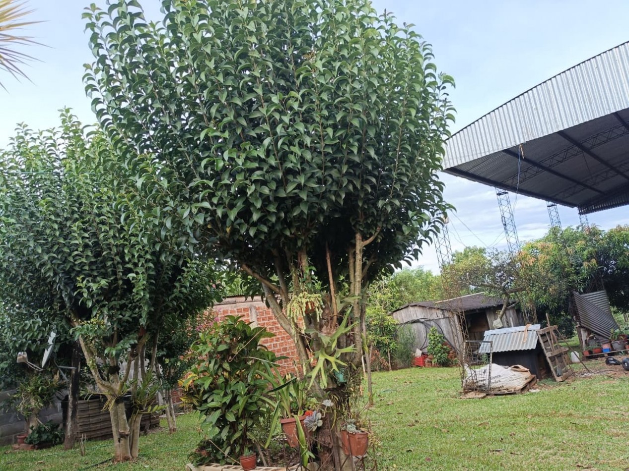 CASA CON TERRENO 