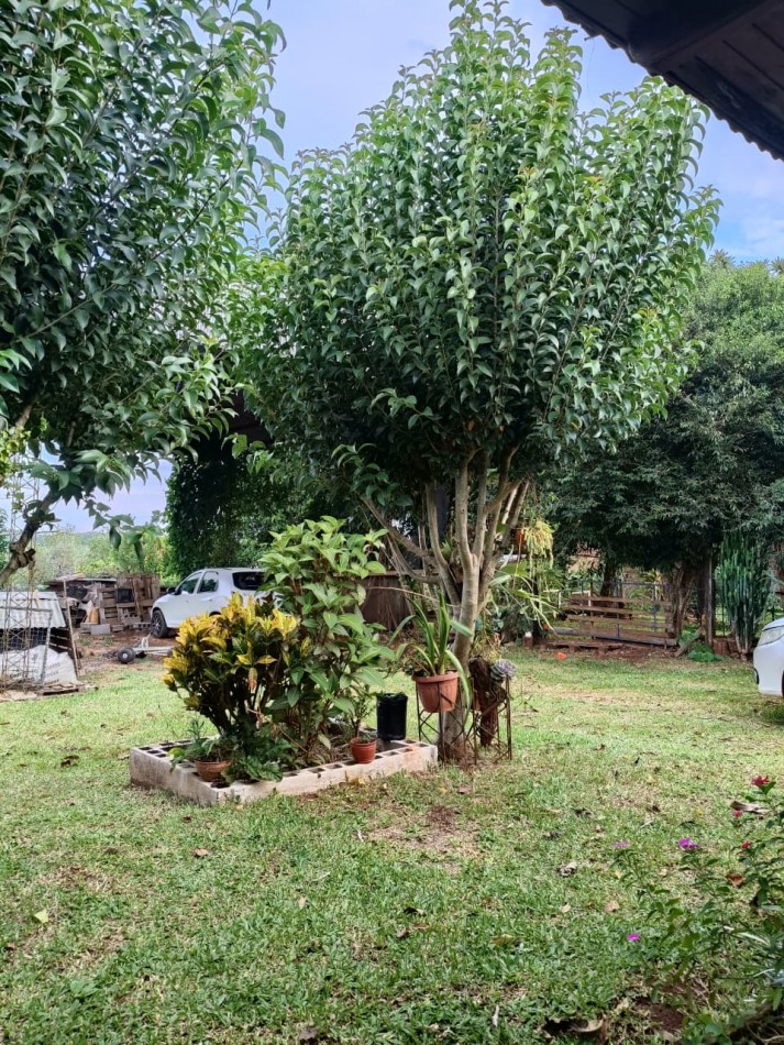 CASA CON TERRENO 