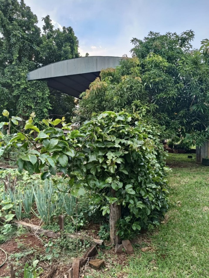 CASA CON TERRENO 