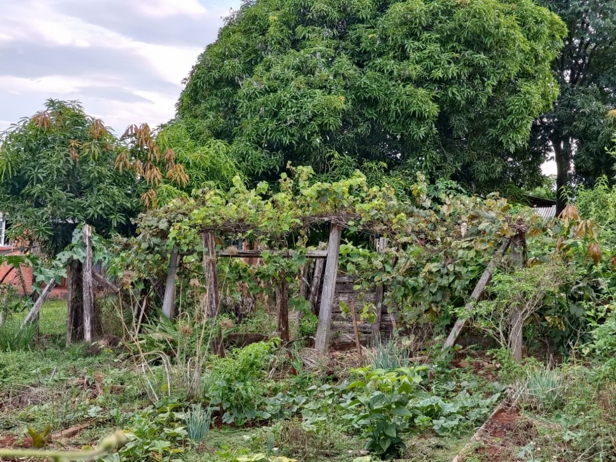 CASA CON TERRENO 