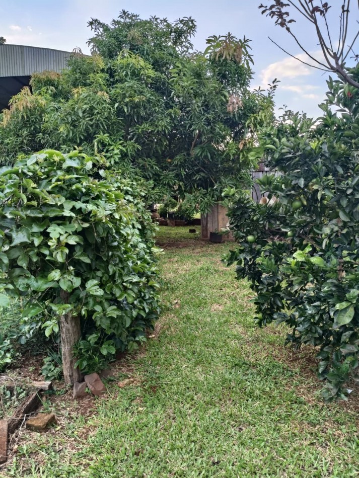 CASA CON TERRENO 