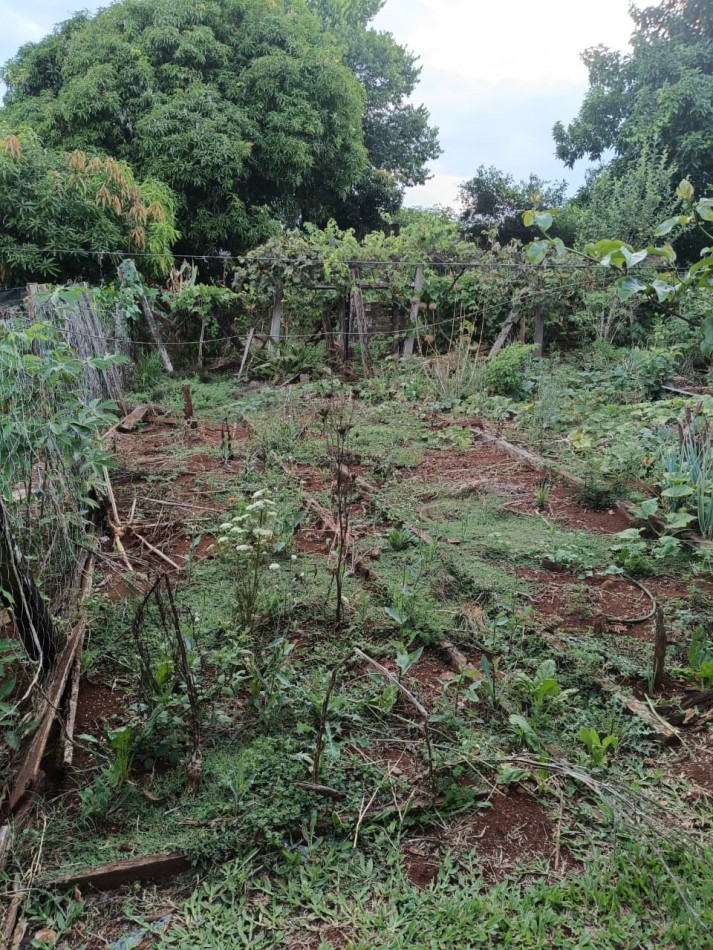 CASA CON TERRENO 