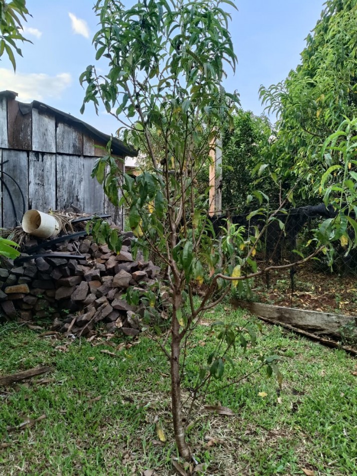 CASA CON TERRENO 