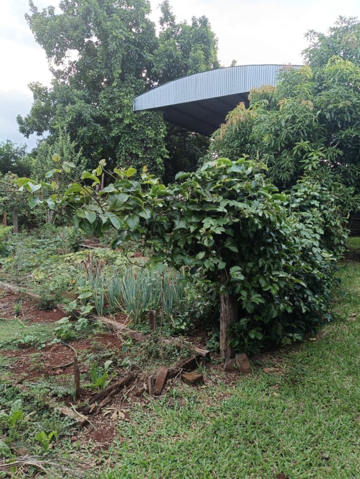 CASA CON TERRENO 