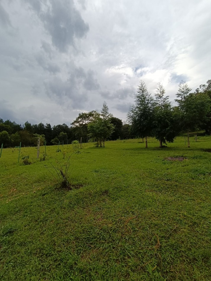 CHACRA