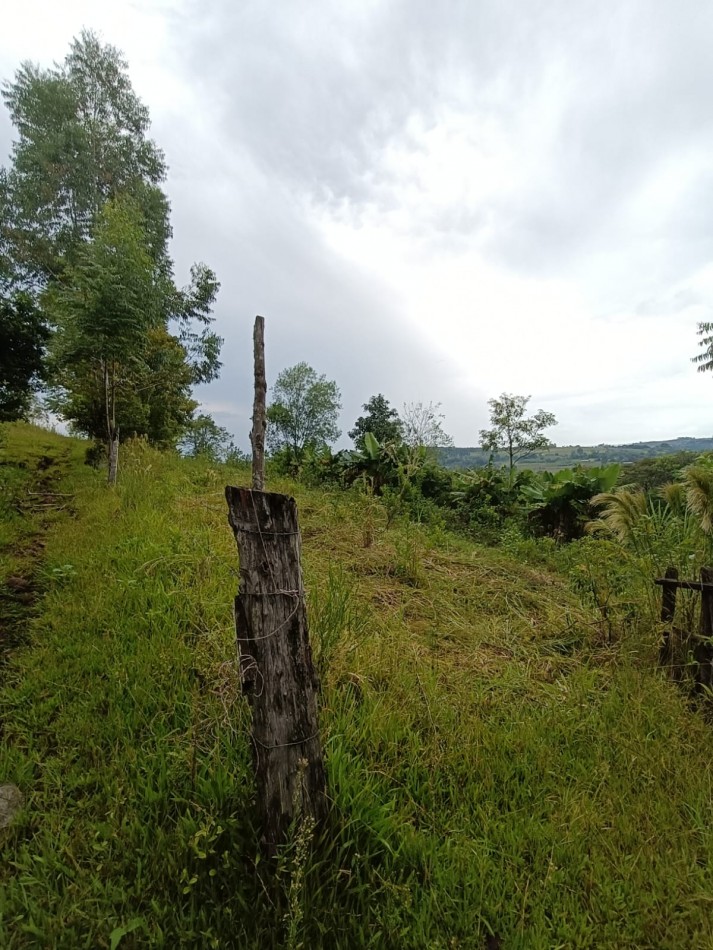 CHACRA