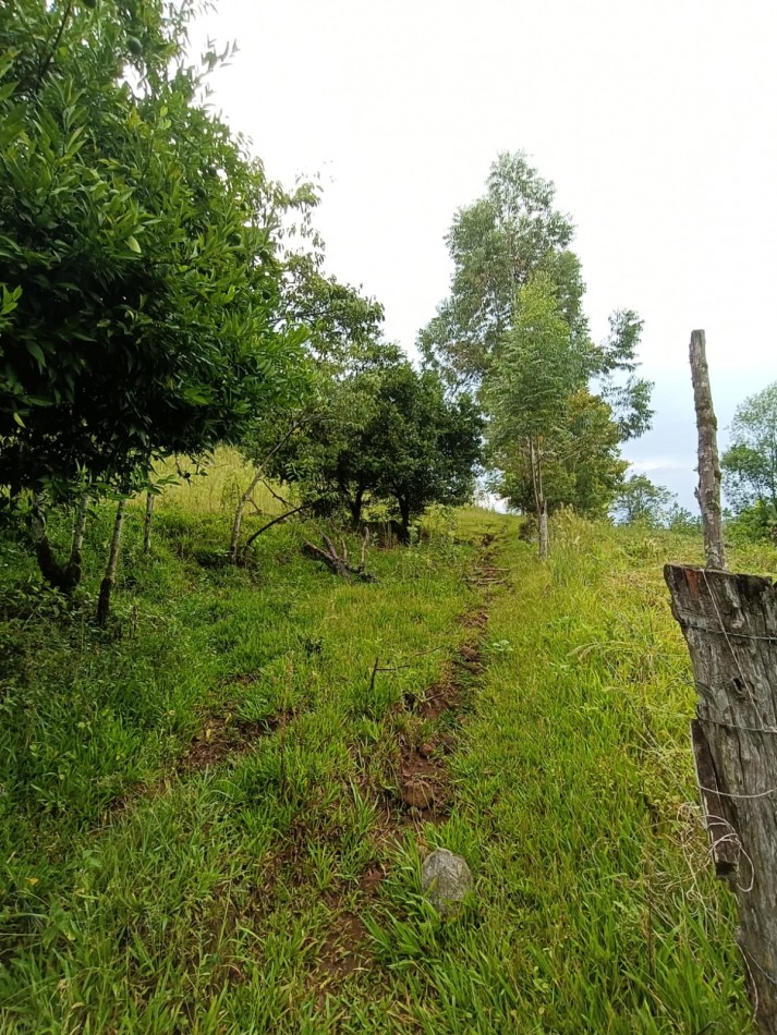 CHACRA