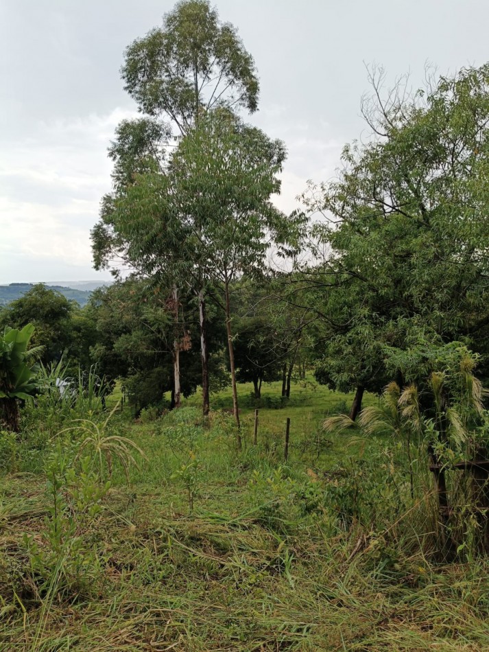 CHACRA