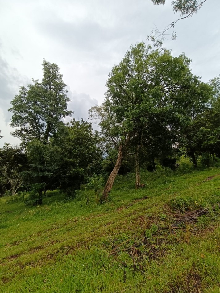 CHACRA