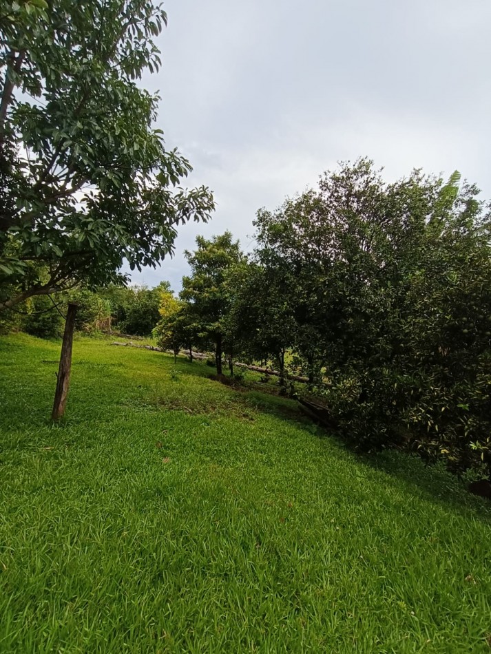 CHACRA