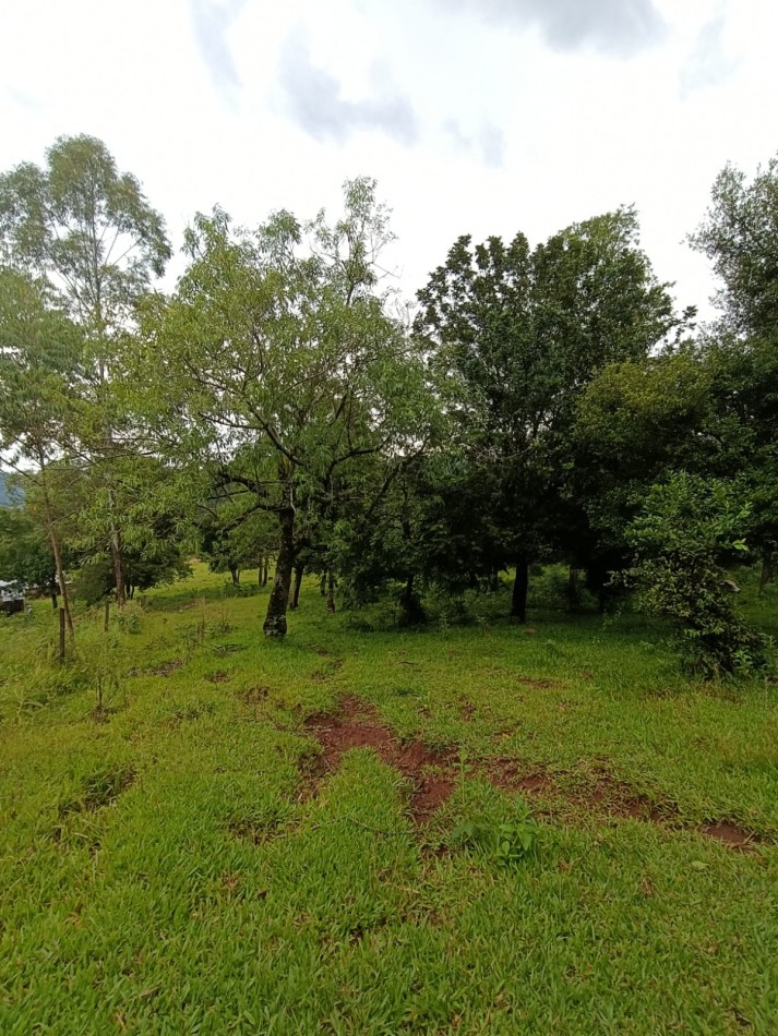 CHACRA