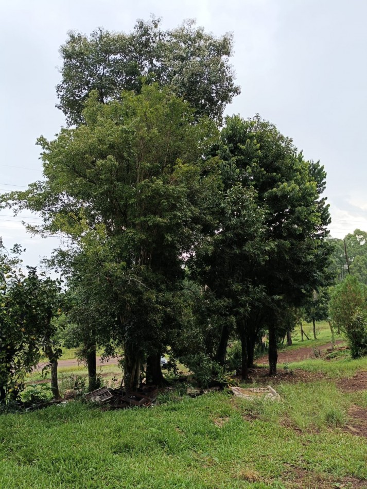 CHACRA