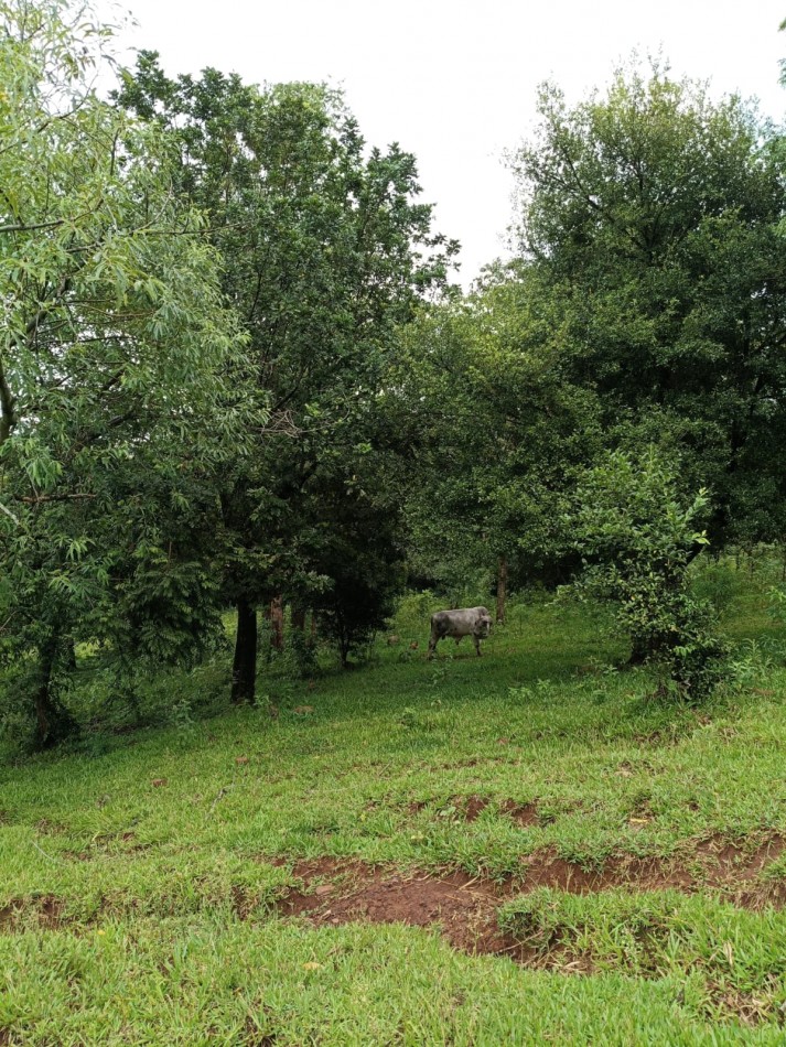 CHACRA