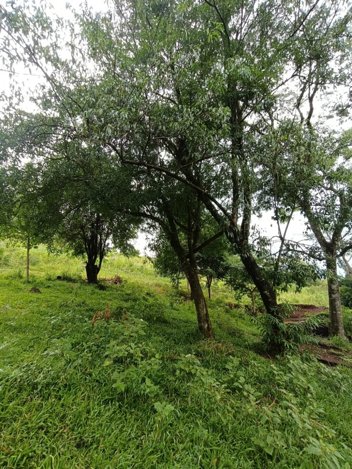 CHACRA