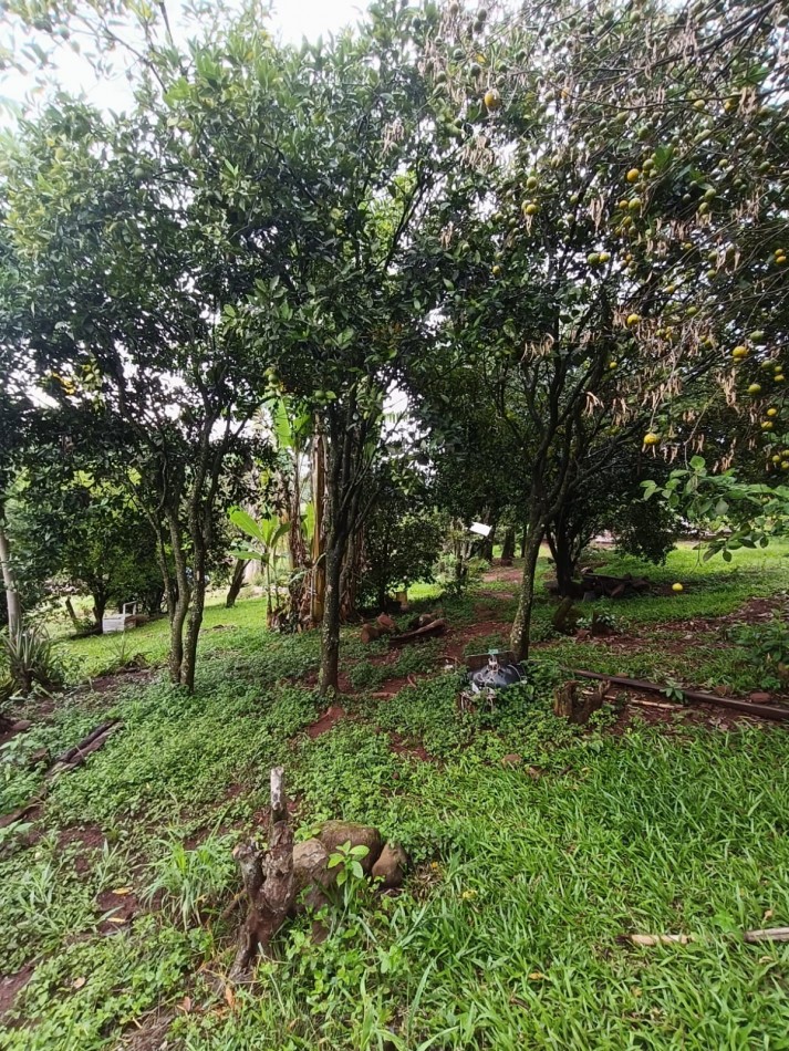 CHACRA