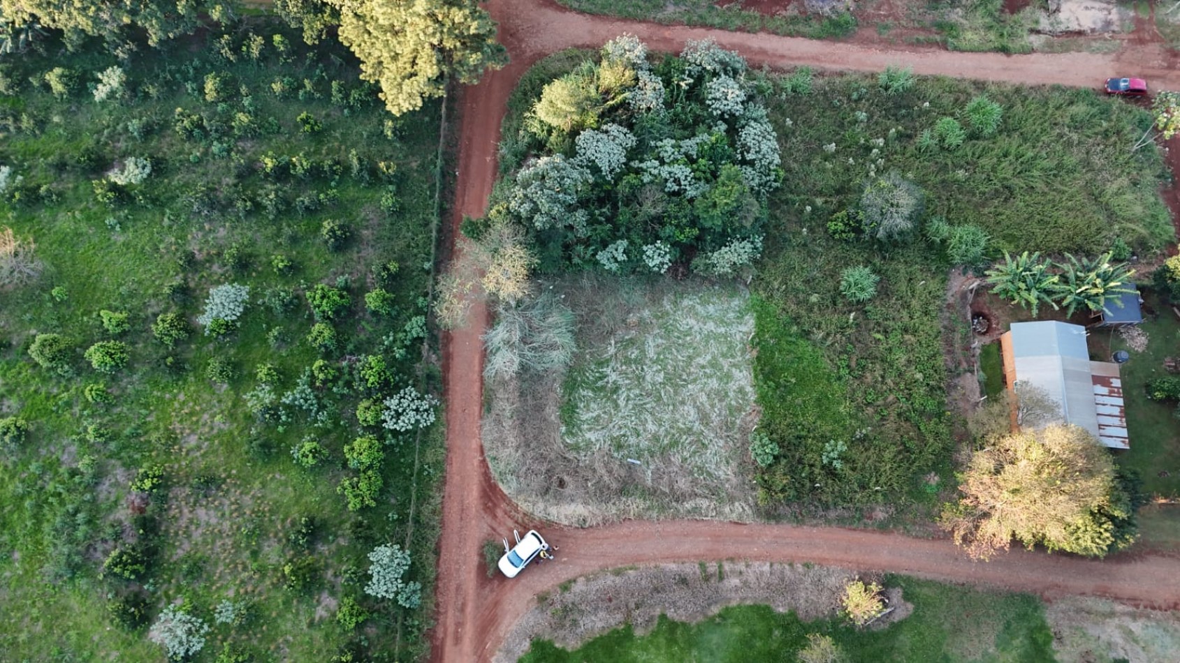 TERRENO