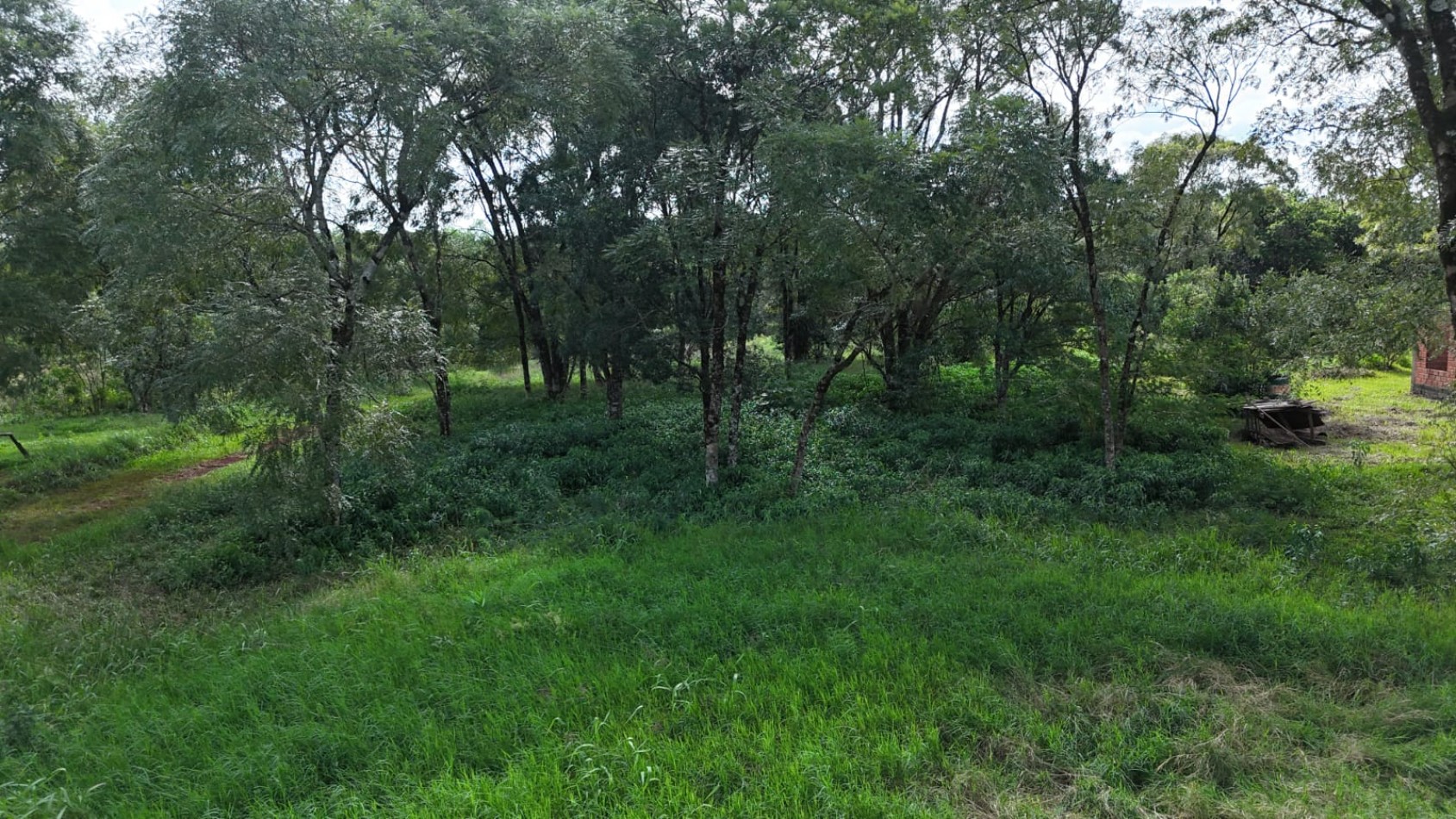 TERRENO