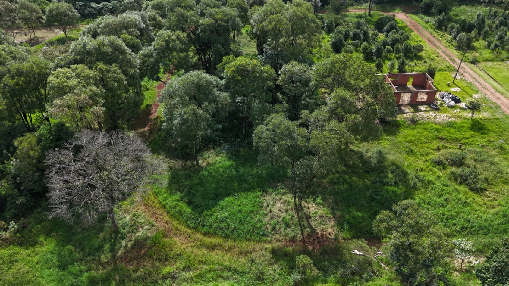 TERRENO