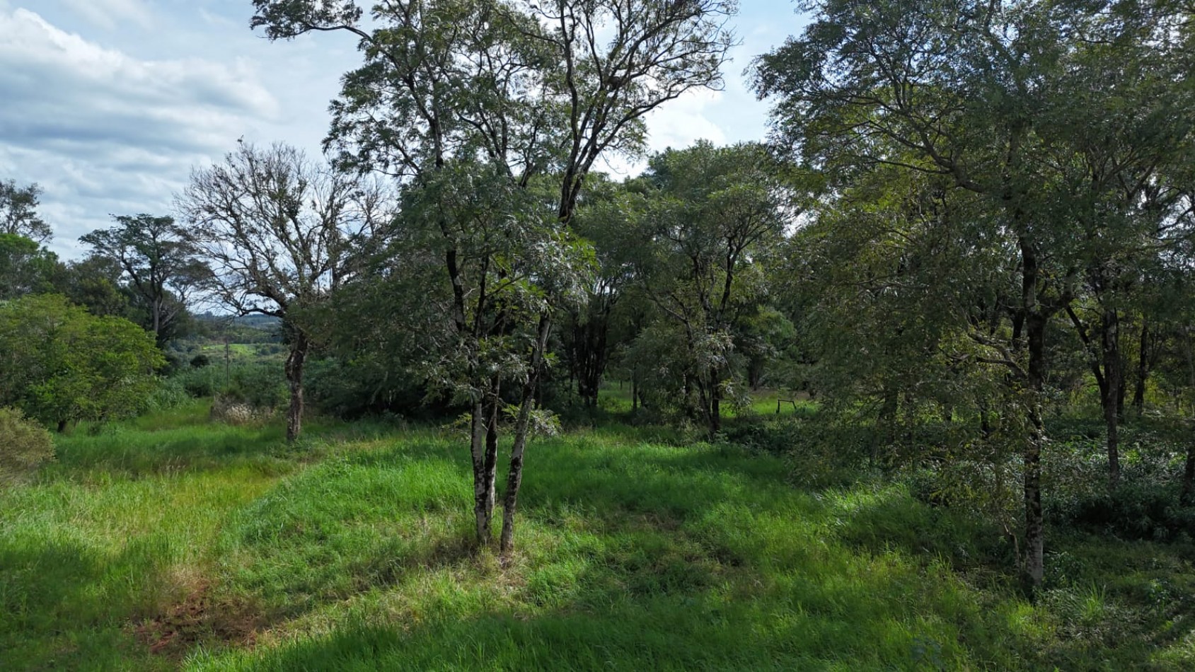 TERRENO