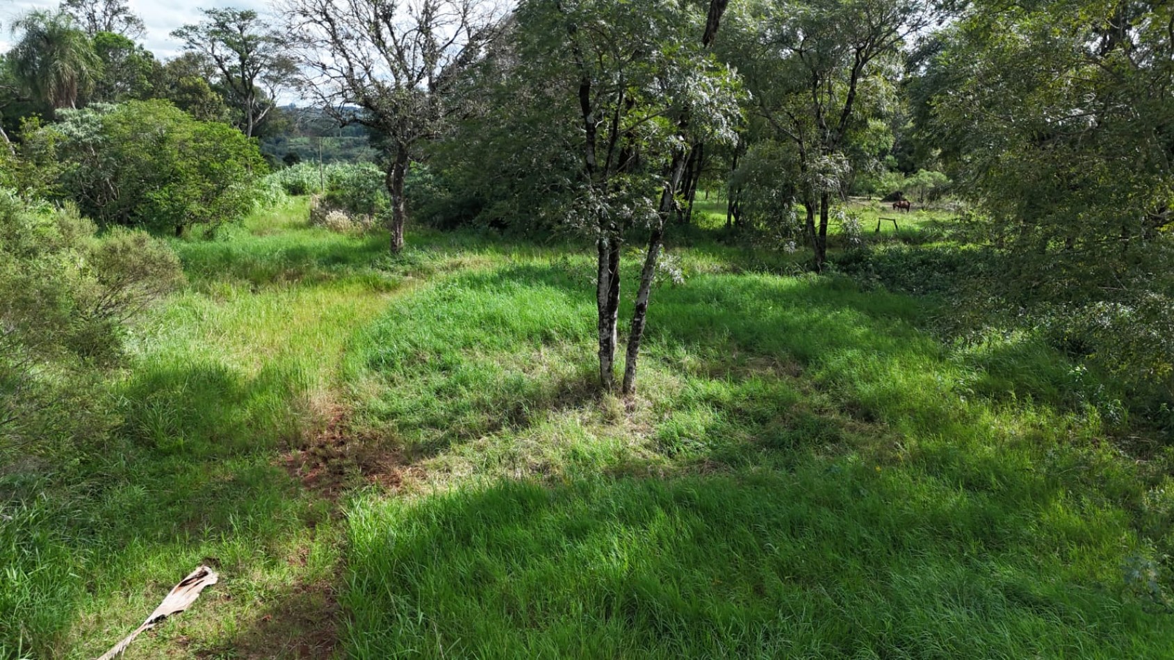 TERRENO