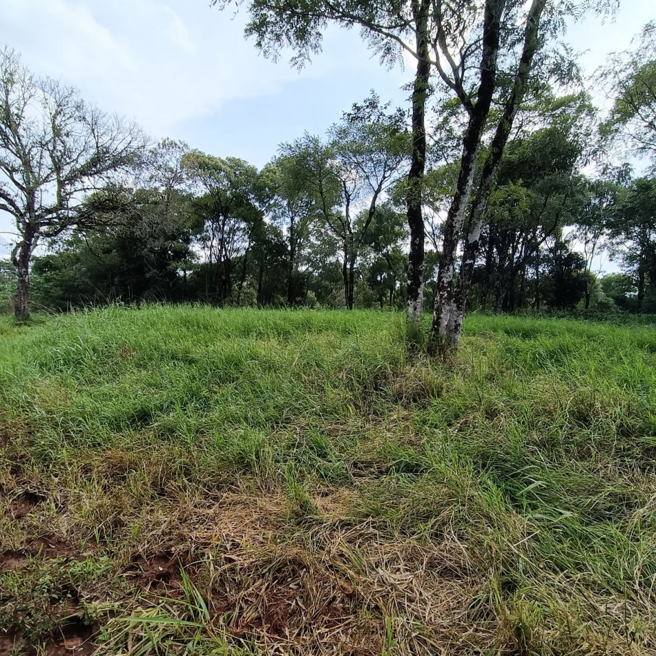 TERRENO