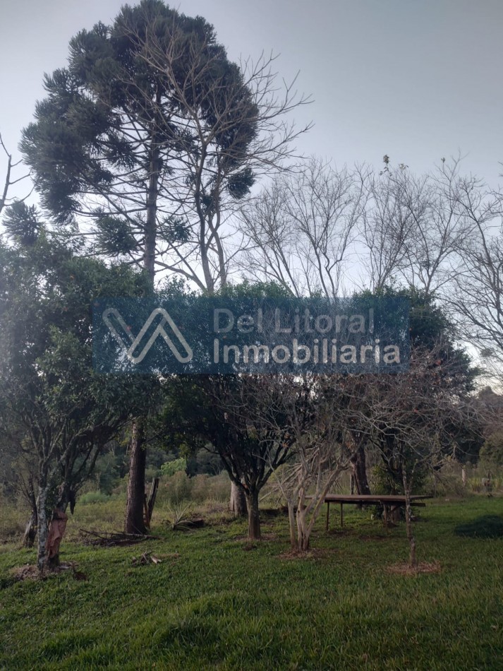 PROPIEDAD 