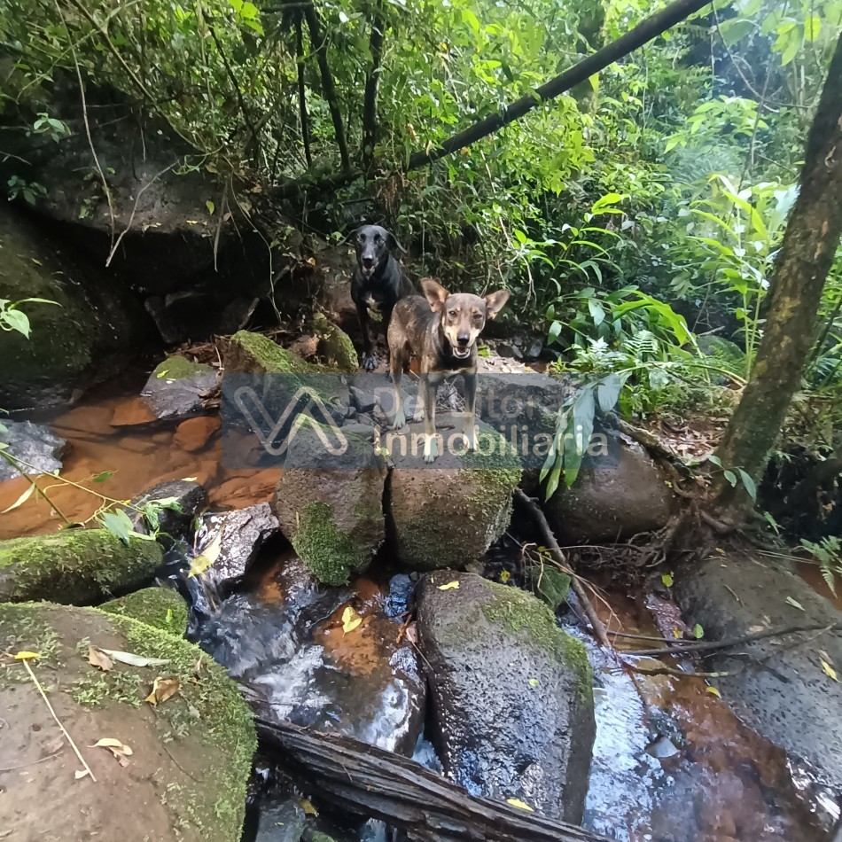 QUINTA EN VENTA 