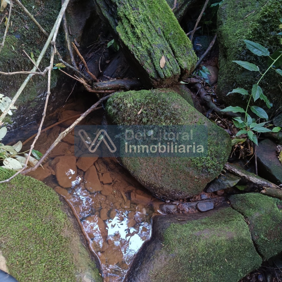 QUINTA EN VENTA 