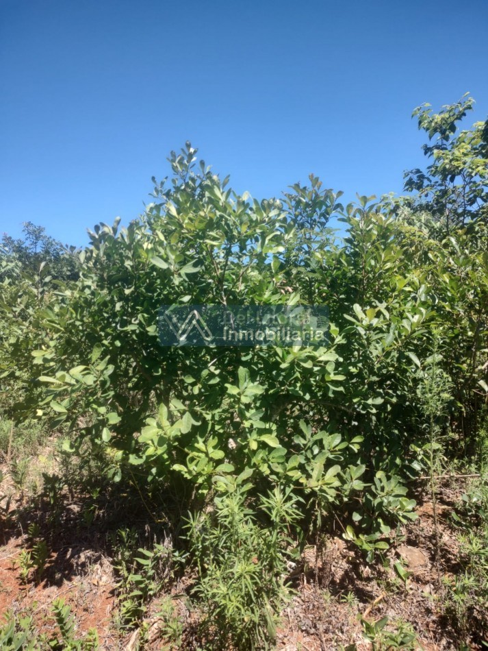 CHACRA EN VENTA