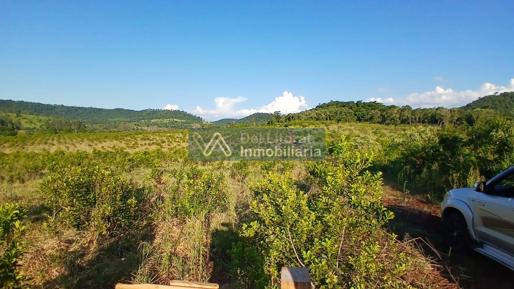 🌱 100 HECTAREAS PRODUCTIVAS SOBRE RUTA 212 - COLONIA SAN JORGE