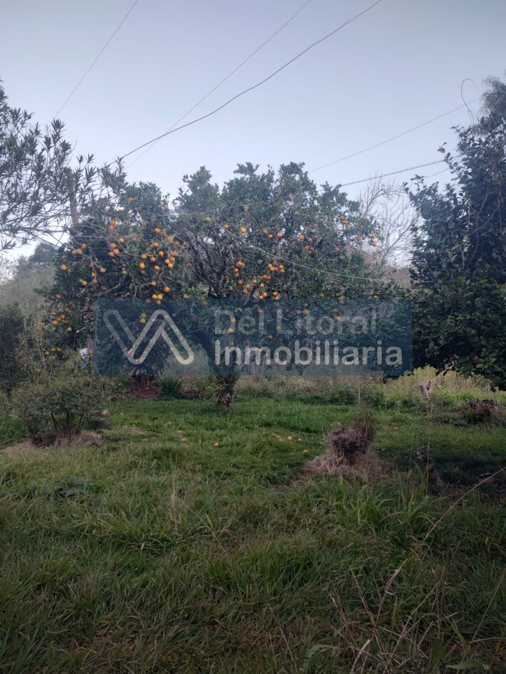 PROPIEDAD 