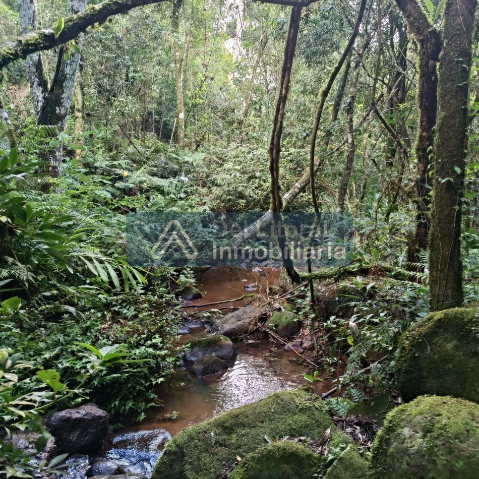 QUINTA EN VENTA 
