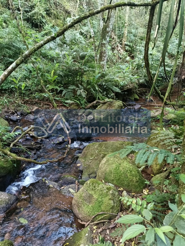 QUINTA EN VENTA 